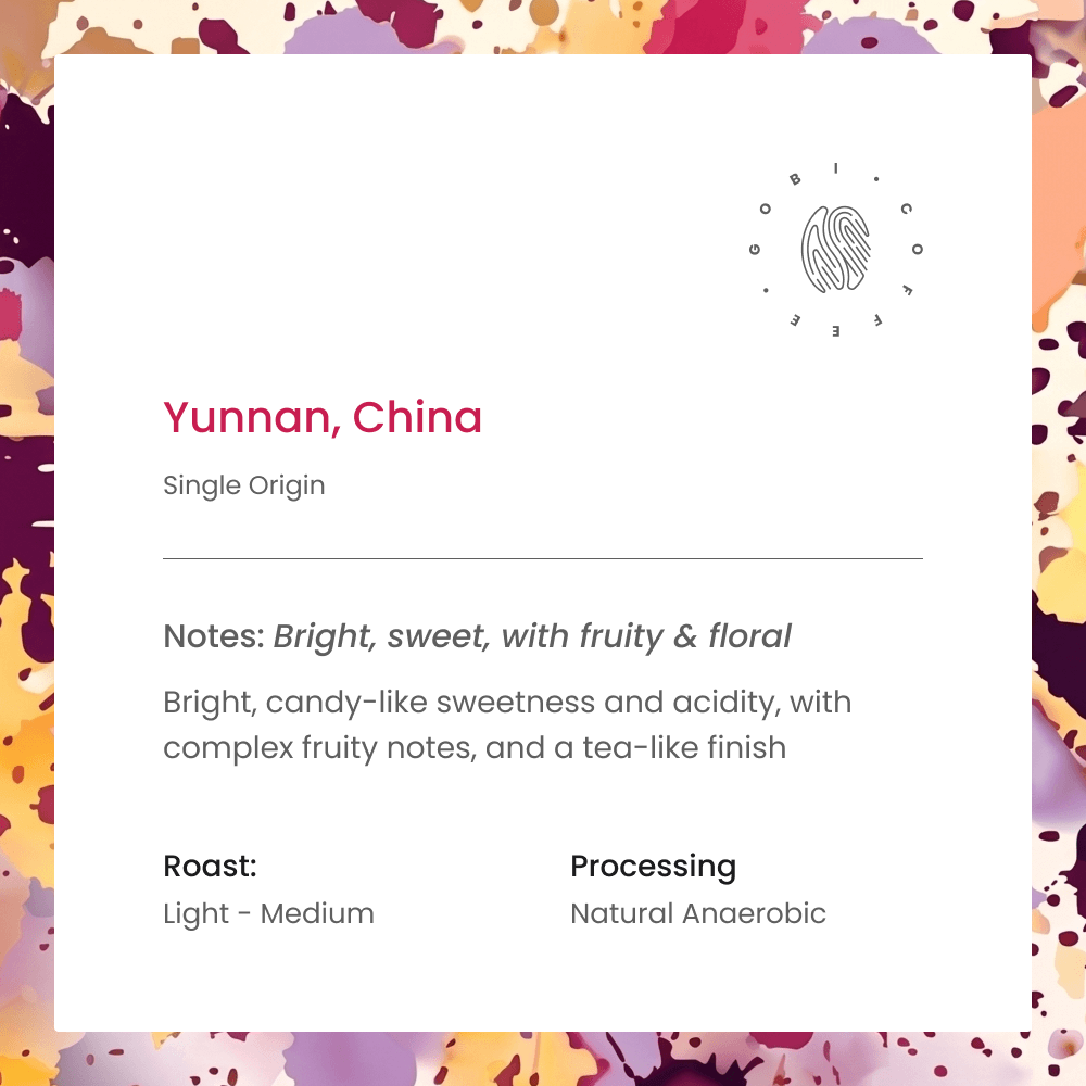 Yunnan, China (Single Origin)