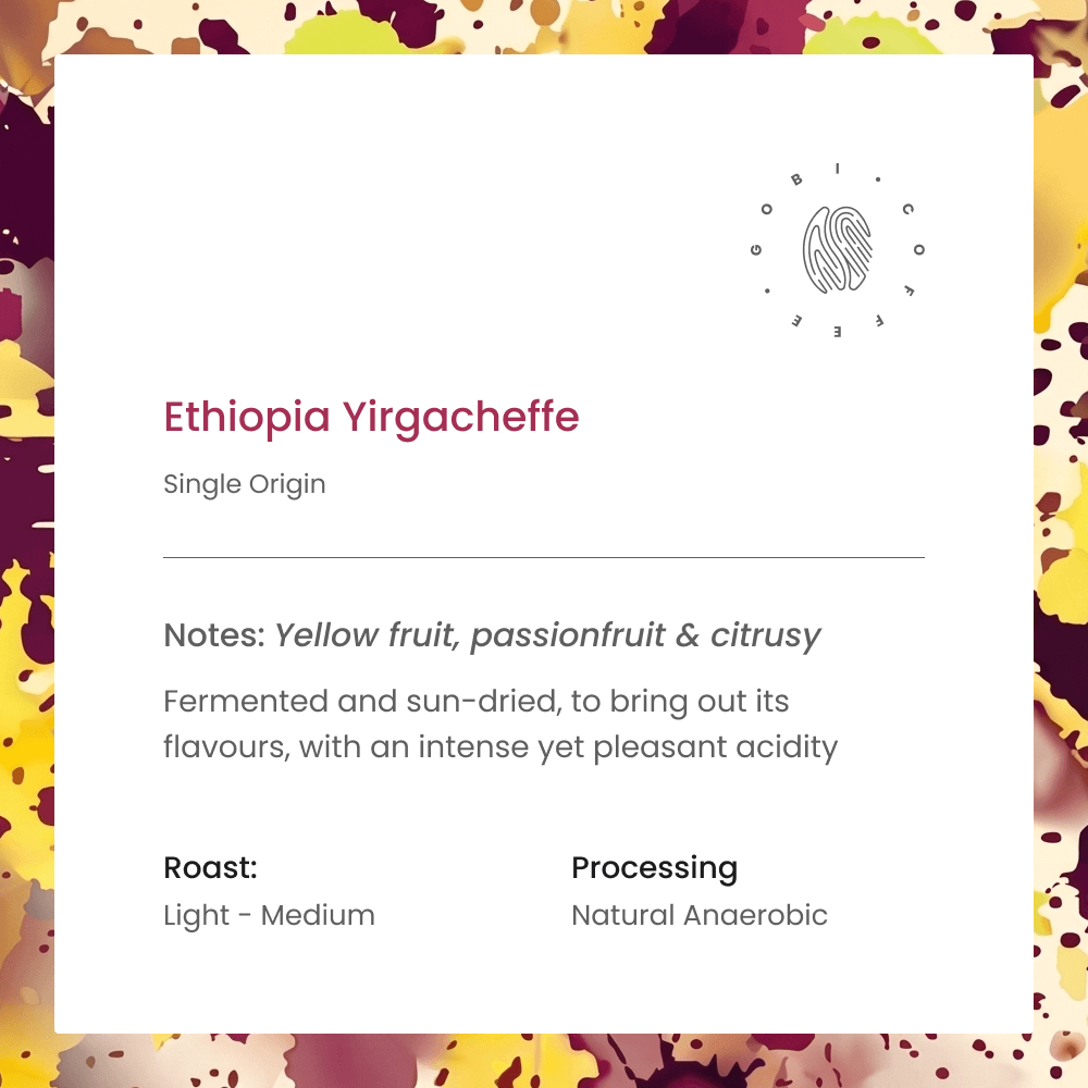 Ethiopia Yirgacheffe (Single Origin)